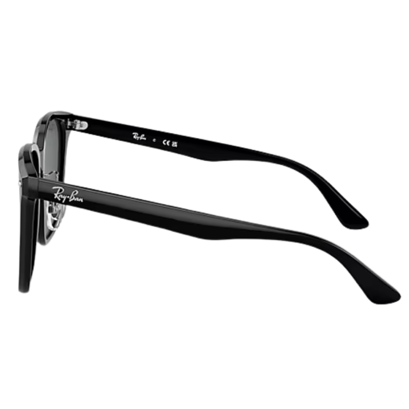 Ray-Ban RB 2206D - 901/87 Nero | Occhiali da sole unisex