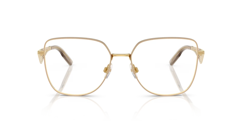 Dolce & Gabbana DG1358