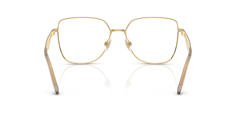 Dolce & Gabbana DG1358
