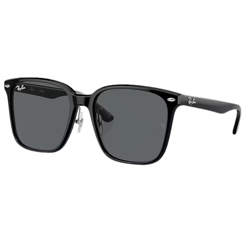 Ray-Ban RB 2206D - 901/87 Nero | Occhiali da sole unisex