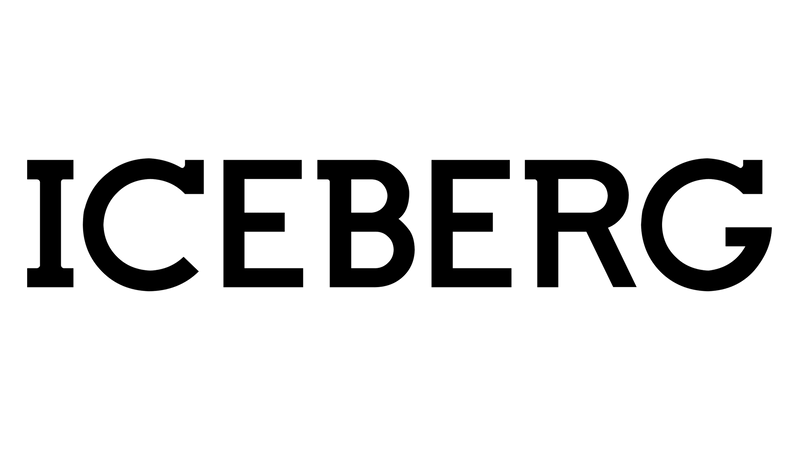Iceberg 